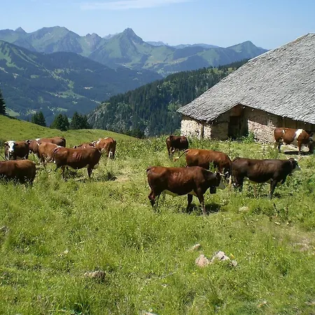 Chambres D'hotes L'escalade Bed & Breakfast